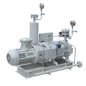 Dry screw vacuum pump